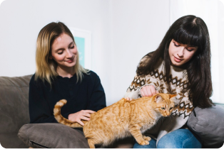 Thinking About Adopting a Pet? Read This Before You Go to a Shelter