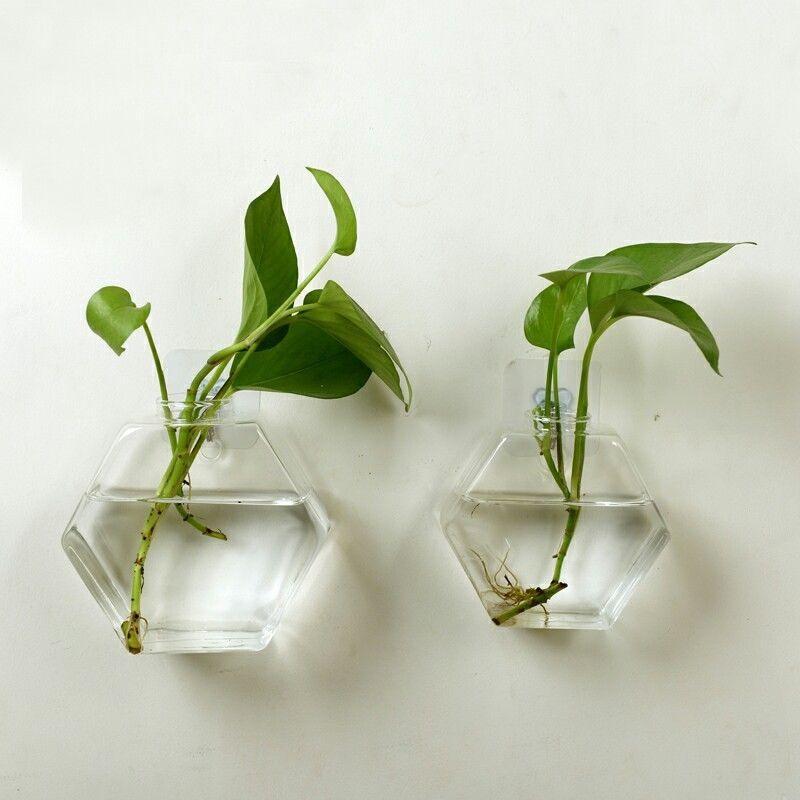Geometric Glass Hanging Fish Tank